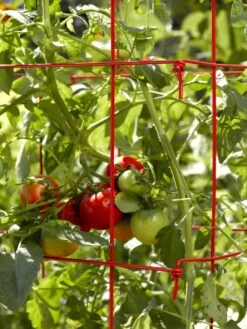 Tomato Cages, Set Of 4 -Garden Supplies Shop 34182 592