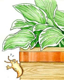 Copper Slug Tape -Garden Supplies Shop 38 994 b