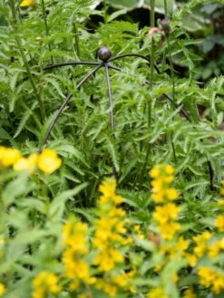 Jardin Bird Cage Support, 26" 8 Jardin Bird Cage Support, 26" -Garden Supplies Shop 39 520 0077 tif