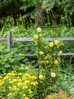 Jardin Round Obelisk, 7' 9 Jardin Round Obelisk, 7' -Garden Supplies Shop 39 530 1668 tif