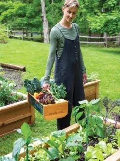 Garden Hods 11 Garden Hods -Garden Supplies Shop 39 761 0146 tif