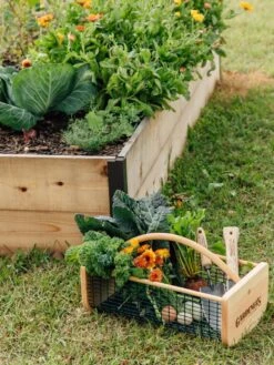 Garden Hods 10 Garden Hods -Garden Supplies Shop 39 761 572 tif