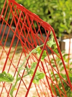 Deluxe Cucumber Trellis -Garden Supplies Shop 39806 542 tif