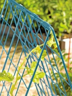 Deluxe Cucumber Trellis -Garden Supplies Shop 39806 BLUE 100 tif