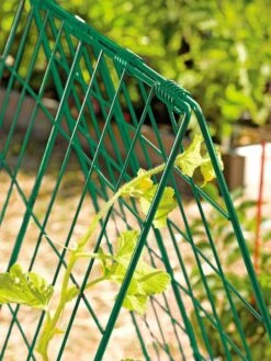 Deluxe Cucumber Trellis -Garden Supplies Shop 39806 GR edit tif