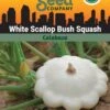 Squash, White Scallop Bush Summer Organic Seeds -Garden Supplies Shop 3 4 crop 84589 8613564 Squash White Scallop Bush