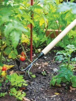 Gardener's Lifetime Long-Handled Double Tool -Garden Supplies Shop 3 4 crop 8592107 2460 tif