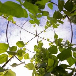 Jardin Tower -Garden Supplies Shop 3 4 crop 8612997 0033