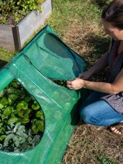 Multi Cloche -Garden Supplies Shop 3 4 crop 8613213 0245