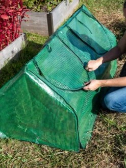 Multi Cloche -Garden Supplies Shop 3 4 crop 8613213 0250