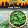 Corvair Spinach Organic Seeds -Garden Supplies Shop 3 4 crop 8613868 06842 Spinach Corvair SDSC