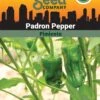 Pepper, Padron Organic Seeds -Garden Supplies Shop 3 4 crop 87466 8613547 Pepper Padron SDSC