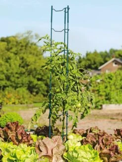 Stacking Tomato Ladders, Set Of 6 -Garden Supplies Shop 40309 100 tif