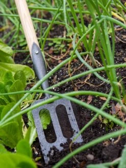 Gardener's Lifetime Spork -Garden Supplies Shop 8586973 2383 tif