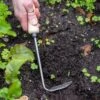Gardener's Lifetime Cape Cod Weeder, Right-Handed 2 Gardener's Lifetime Cape Cod Weeder, Right-Handed -Garden Supplies Shop 8586974 2361 tif