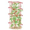 Tomato Cage, Single -Garden Supplies Shop 8587039 TomatoCage tif