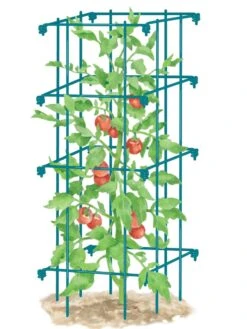 Tomato Cage, Single 8 Tomato Cage, Single -Garden Supplies Shop 8587039 TomatoCage BLUE tif