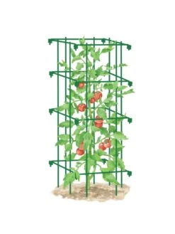Tomato Cage, Single 9 Tomato Cage, Single -Garden Supplies Shop 8587039 TomatoCage GRN tif