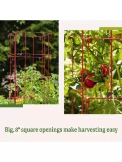 Tomato Cages, Set Of 4 -Garden Supplies Shop 8587040 2