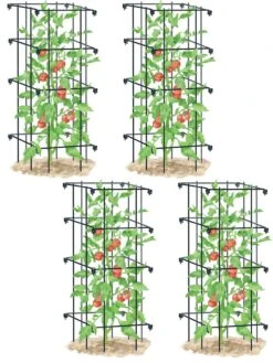 Tomato Cages, Set Of 4 -Garden Supplies Shop 8587040 BK 001E tif