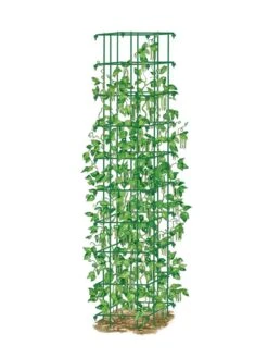 Bean Tower 13 Bean Tower -Garden Supplies Shop 8587060 0008 GRN tif