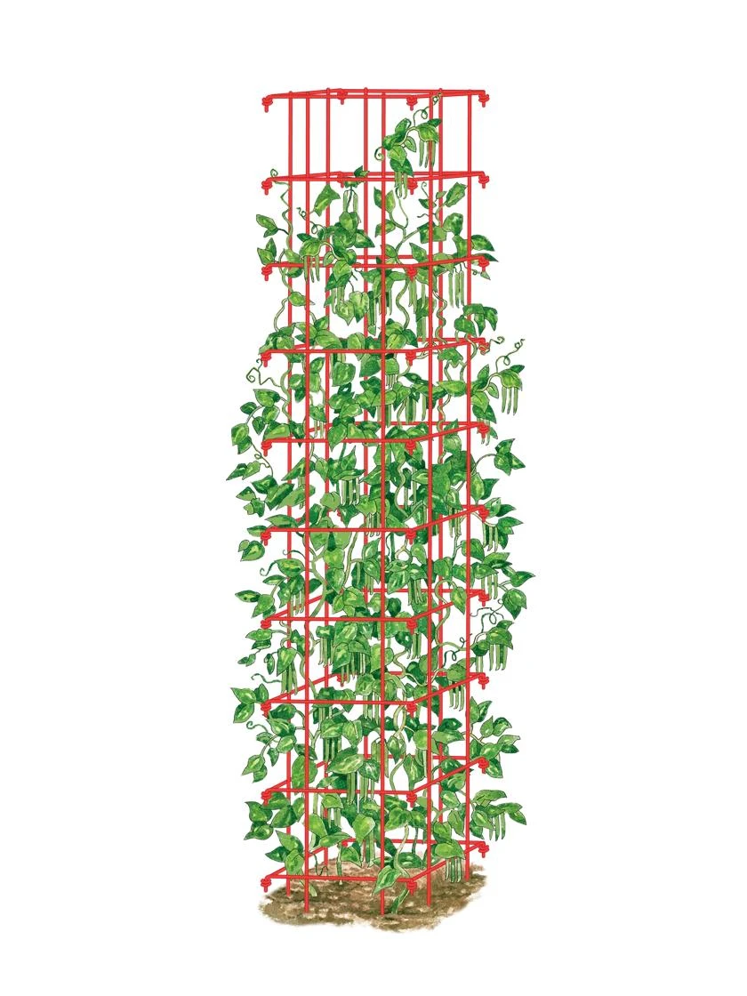 Bean Tower 4 Bean Tower - Image 2