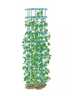 Bean Tower 14 Bean Tower -Garden Supplies Shop 8587060 BeanTower BLUE
