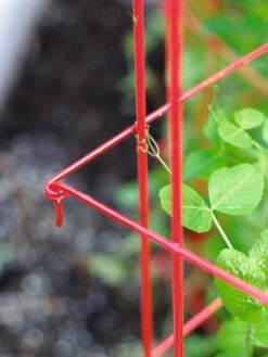 Tall Expandable Pea Trellis 9 Tall Expandable Pea Trellis -Garden Supplies Shop 8587061 010 tif