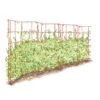 Expandable Pea Trellis -Garden Supplies Shop 8587061 PeaFence Red 001E tif