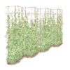 Tall Expandable Pea Trellis 1 Tall Expandable Pea Trellis -Garden Supplies Shop 8587062 0001 RED tall expandable pea trelis tif