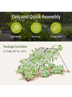 Large Cucumber Trellis 9 Large Cucumber Trellis -Garden Supplies Shop 8587082 product details