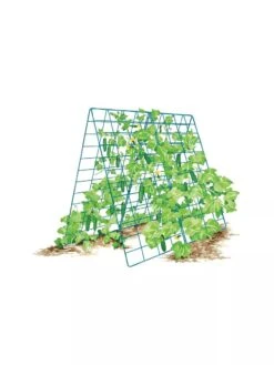 Deluxe Cucumber Trellis -Garden Supplies Shop 8587083 001 BLUE Cukes two sided deluxe cucumber trellis support storm blue 3 4