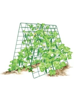 Deluxe Cucumber Trellis -Garden Supplies Shop 8587083 001 GRN tif