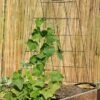 Wire A-Frame Trellis -Garden Supplies Shop 8587104 526 tif