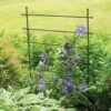 Jardin Ladder Trellis 2 Jardin Ladder Trellis -Garden Supplies Shop 8587107 1651 tif