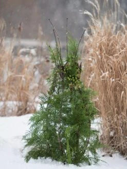 Jardin Pot Trellis -Garden Supplies Shop 8587120 009 tif