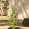 Jardin Pot Trellis -Garden Supplies Shop 8587120 224 tif