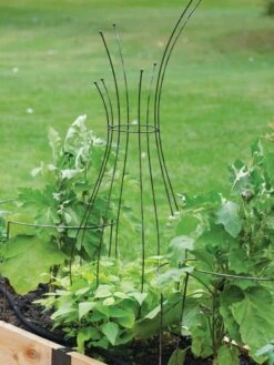 Jardin Pot Trellis -Garden Supplies Shop 8587120 7037 tif