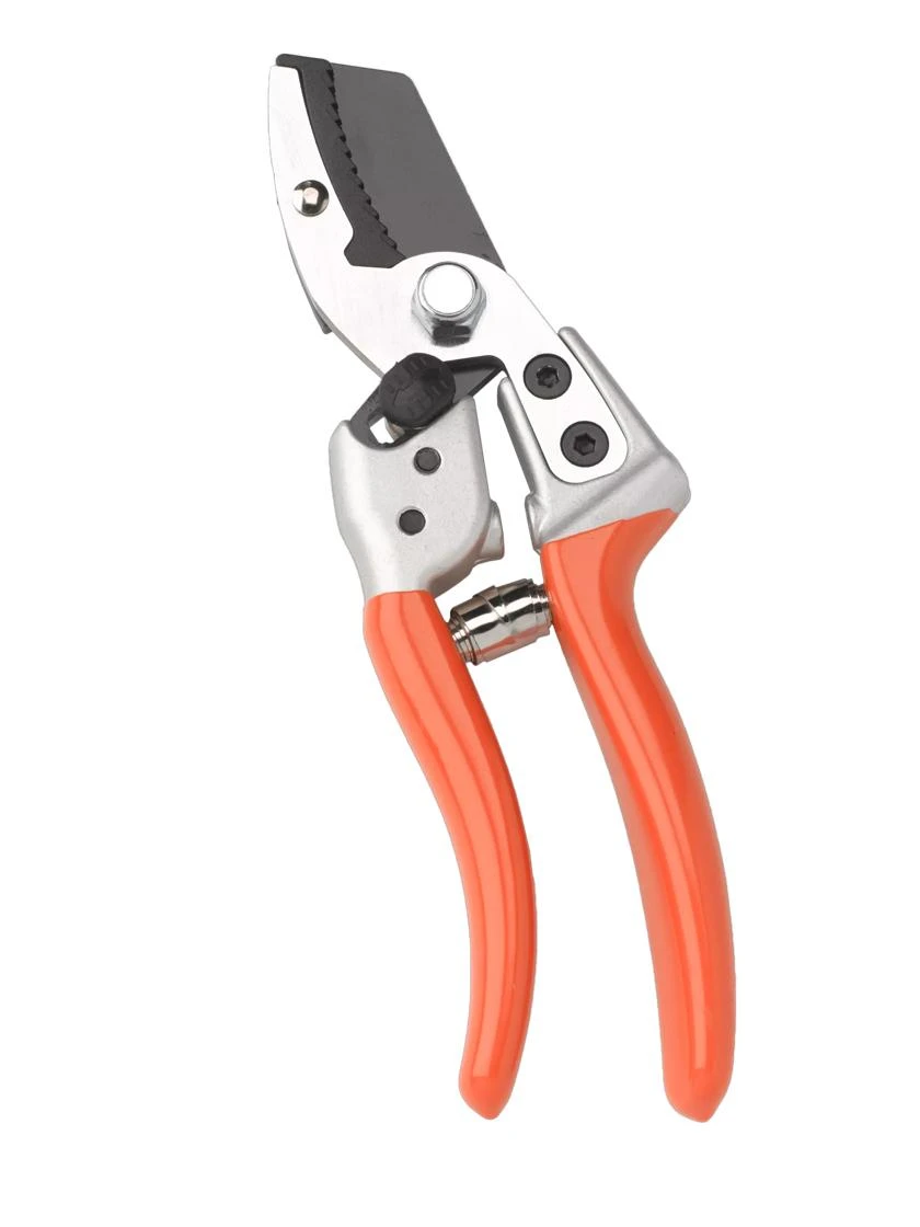 Anvil Pruners 3 Anvil Pruners