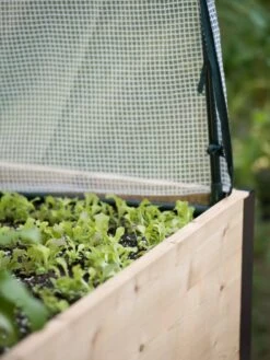 Protection Frame & Covers, 2' X 4' -Garden Supplies Shop 8587631 265 tif 1