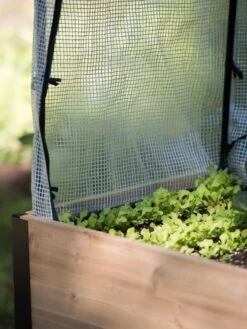 Protection Frame & Covers, 2' X 4' -Garden Supplies Shop 8587631 268 tif 1