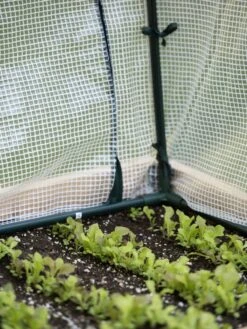 Protection Frame & Covers, 2' X 4' -Garden Supplies Shop 8587631 271 tif 1