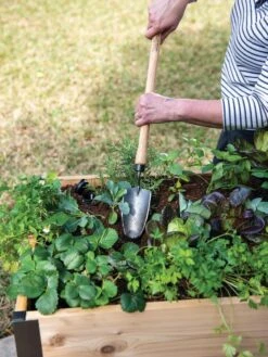 Gardener's Lifetime Raised Bed Trowel 7 Gardener's Lifetime Raised Bed Trowel -Garden Supplies Shop 8588014 4084 tif