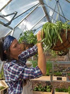 Canopia® By Palram Balance Greenhouse, 8' X 12' 31 Canopia® By Palram Balance Greenhouse, 8' X 12' -Garden Supplies Shop 8588023 07V jpg