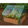Extendable Cold Frame Greenhouse 1 Extendable Cold Frame Greenhouse -Garden Supplies Shop 8588247 03V extendable cold frame greenhouse