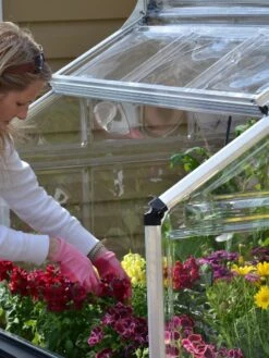 Canopia® By Palram Plant Inn™ Raised Bed Greenhouse, 4' X 4' -Garden Supplies Shop 8588308 04V tif