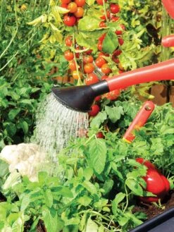 Canopia® By Palram Plant Inn™ Raised Bed Greenhouse, 4' X 4' -Garden Supplies Shop 8588308 06V tif