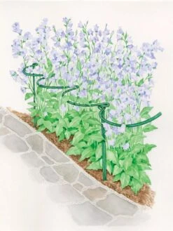 Tidy Path Supports -Garden Supplies Shop 8588403 003 1