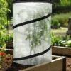 Pop-Up Tomato Accelerator 2 Pop-Up Tomato Accelerator -Garden Supplies Shop 8589749 4171 pop up tomato plant protector and accelerator tif