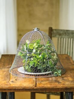Chicken Wire Cloche -Garden Supplies Shop 8590210 1 tif